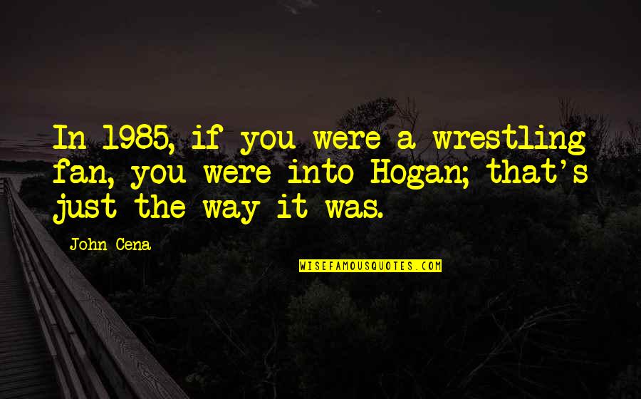 A Fan Quotes By John Cena: In 1985, if you were a wrestling fan,