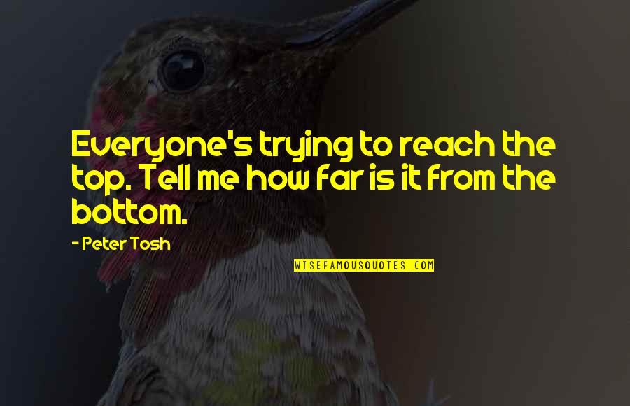 A Far Reach Quotes By Peter Tosh: Everyone's trying to reach the top. Tell me