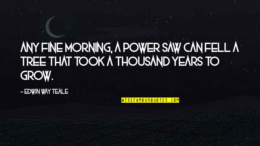 A Fine Morning Quotes By Edwin Way Teale: Any fine morning, a power saw can fell