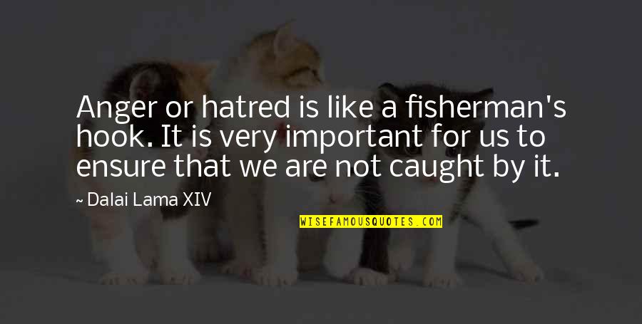 A Fisherman Quotes By Dalai Lama XIV: Anger or hatred is like a fisherman's hook.