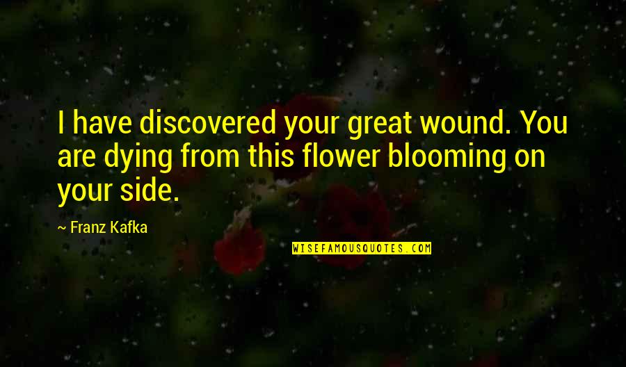 A Flower Blooming Quotes By Franz Kafka: I have discovered your great wound. You are