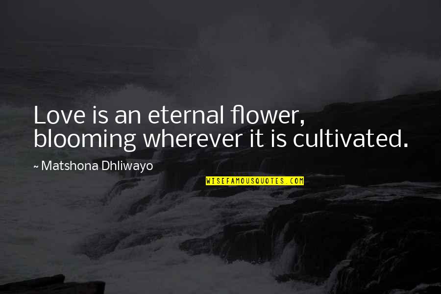 A Flower Blooming Quotes By Matshona Dhliwayo: Love is an eternal flower, blooming wherever it