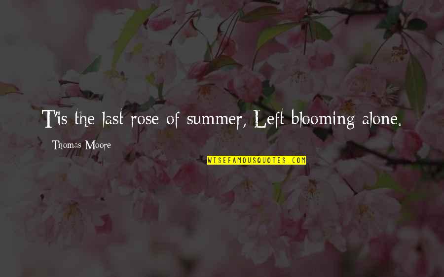 A Flower Blooming Quotes By Thomas Moore: T'is the last rose of summer, Left blooming