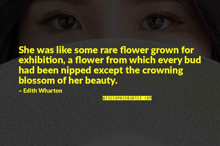 A Flower Bud Quotes By Edith Wharton: She was like some rare flower grown for