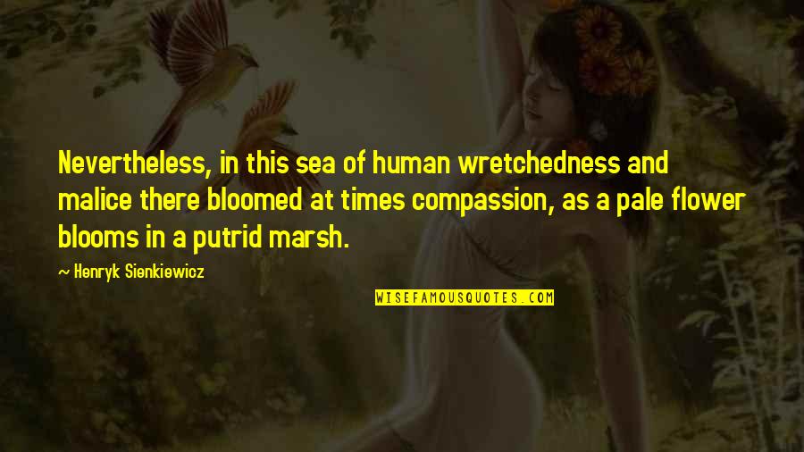 A Flower Quotes By Henryk Sienkiewicz: Nevertheless, in this sea of human wretchedness and A Flower Quotes By Henryk Sienkiewicz: Nevertheless, in this sea of human wretchedness and
