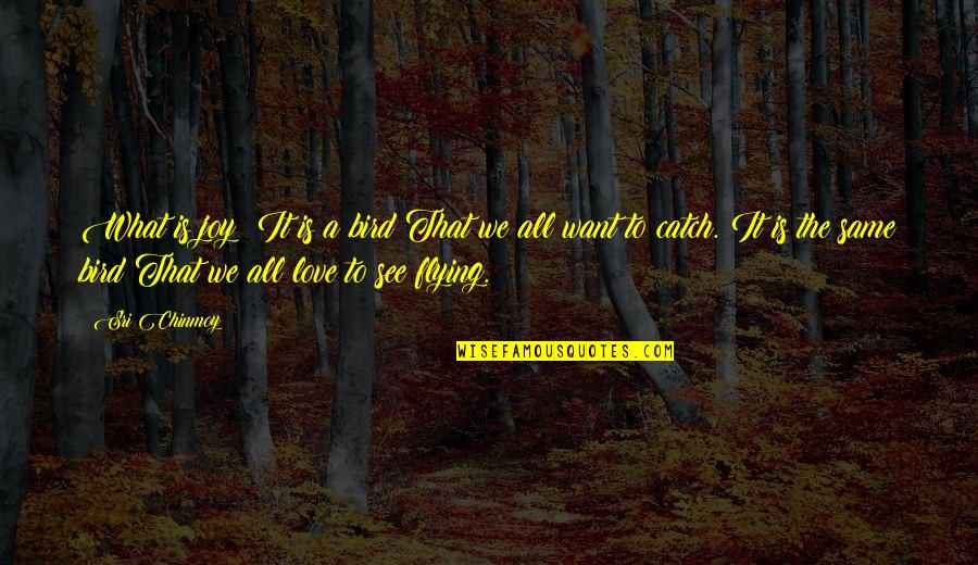 A Flying Bird Quotes By Sri Chinmoy: What is joy? It is a bird That A Flying Bird Quotes By Sri Chinmoy: What is joy? It is a bird That