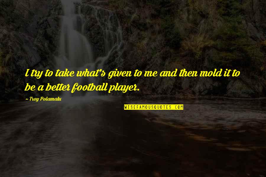 A Football Player Quotes By Troy Polamalu: I try to take what's given to me