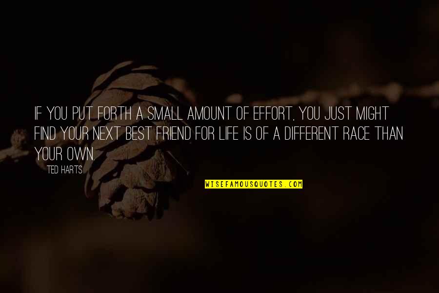A For Effort Quotes By Ted Harts: If you put forth a small amount of