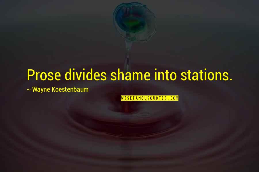A Formidable Combination Quotes By Wayne Koestenbaum: Prose divides shame into stations.