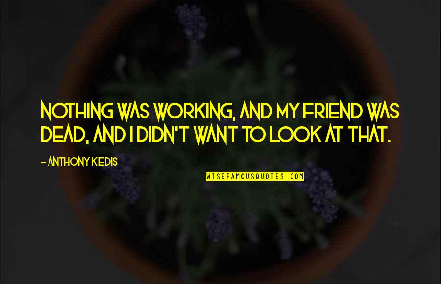 A Friend's Death Quotes By Anthony Kiedis: Nothing was working, and my friend was dead,