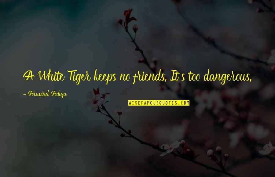 A Friendship Quotes By Aravind Adiga: A White Tiger keeps no friends. It's too