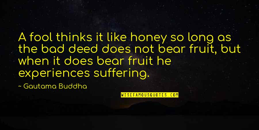 A Fruit Quotes By Gautama Buddha: A fool thinks it like honey so long A Fruit Quotes By Gautama Buddha: A fool thinks it like honey so long