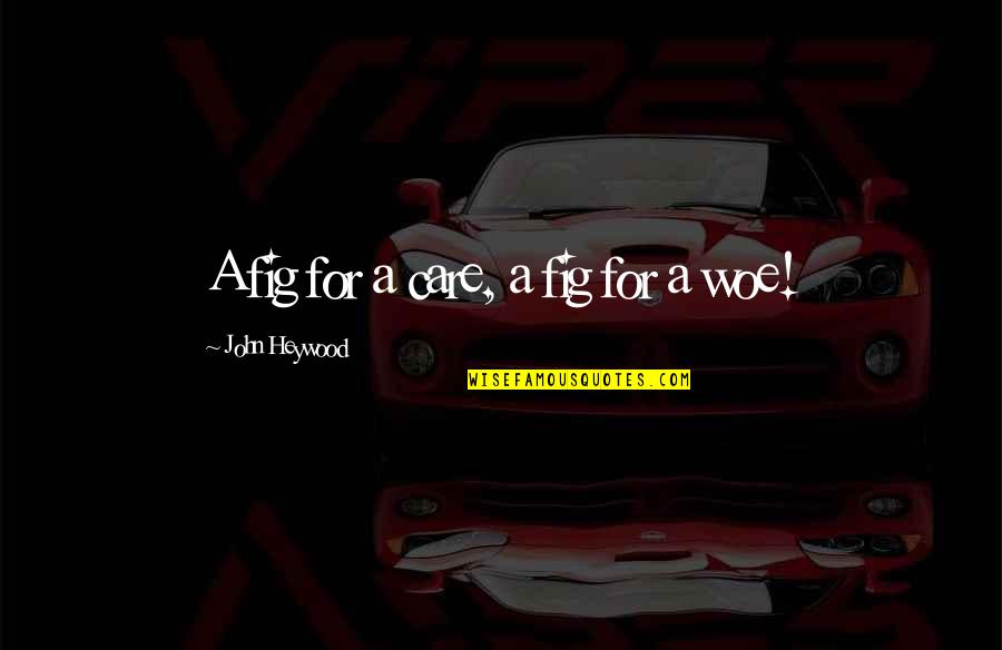 A Fruit Quotes By John Heywood: A fig for a care, a fig for A Fruit Quotes By John Heywood: A fig for a care, a fig for