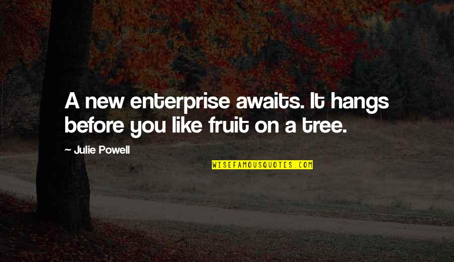 A Fruit Quotes By Julie Powell: A new enterprise awaits. It hangs before you