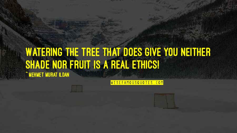A Fruit Quotes By Mehmet Murat Ildan: Watering the tree that does give you neither A Fruit Quotes By Mehmet Murat Ildan: Watering the tree that does give you neither