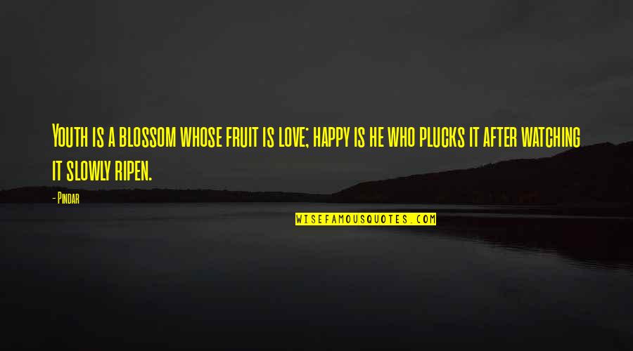 A Fruit Quotes By Pindar: Youth is a blossom whose fruit is love; A Fruit Quotes By Pindar: Youth is a blossom whose fruit is love;