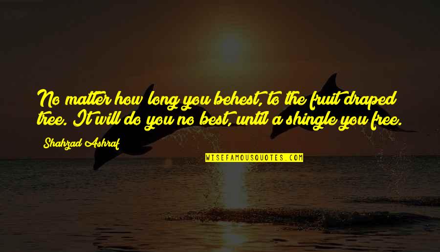 A Fruit Quotes By Shahzad Ashraf: No matter how long you behest, to the A Fruit Quotes By Shahzad Ashraf: No matter how long you behest, to the