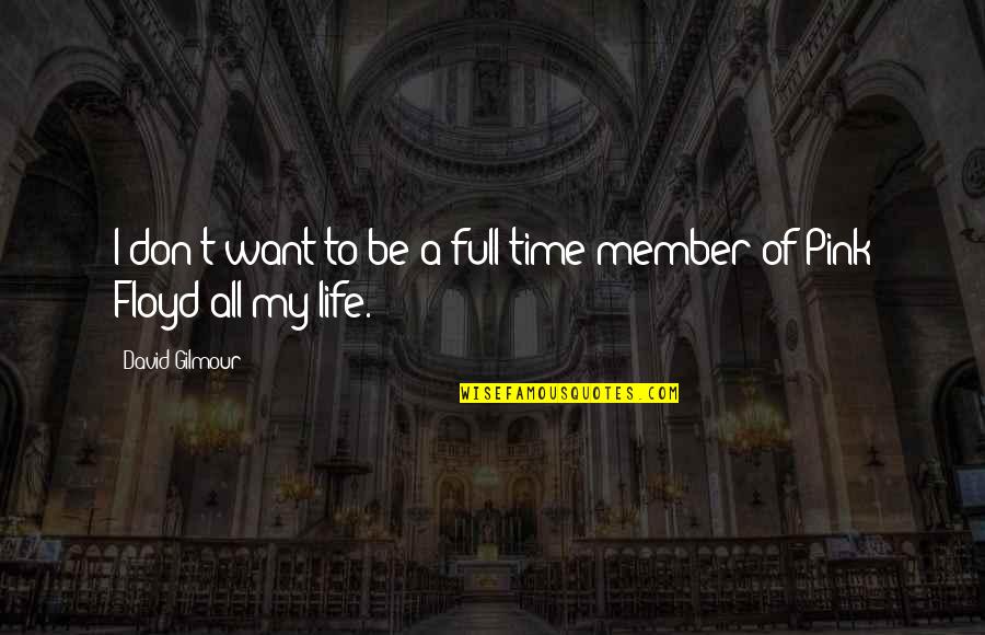A Full Life Quotes By David Gilmour: I don't want to be a full-time member