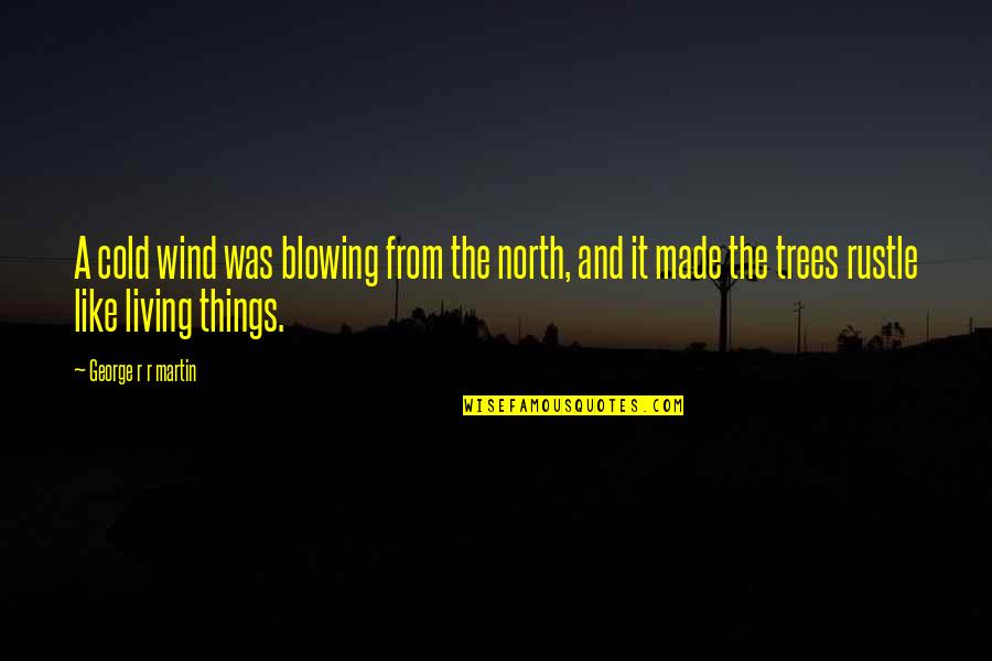 A Game Of Thrones Quotes By George R R Martin: A cold wind was blowing from the north,