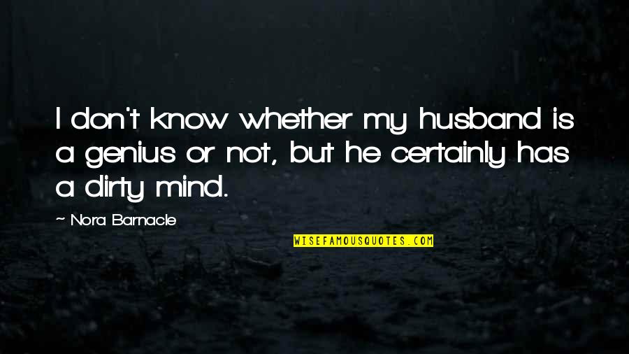 A Genius Mind Quotes By Nora Barnacle: I don't know whether my husband is a