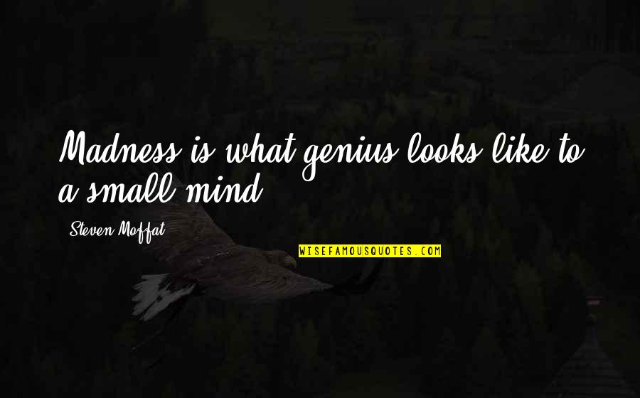 A Genius Mind Quotes By Steven Moffat: Madness is what genius looks like to a