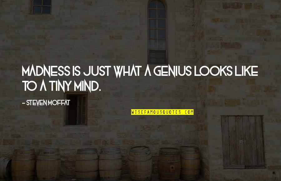 A Genius Mind Quotes By Steven Moffat: Madness is just what a genius looks like A Genius Mind Quotes By Steven Moffat: Madness is just what a genius looks like