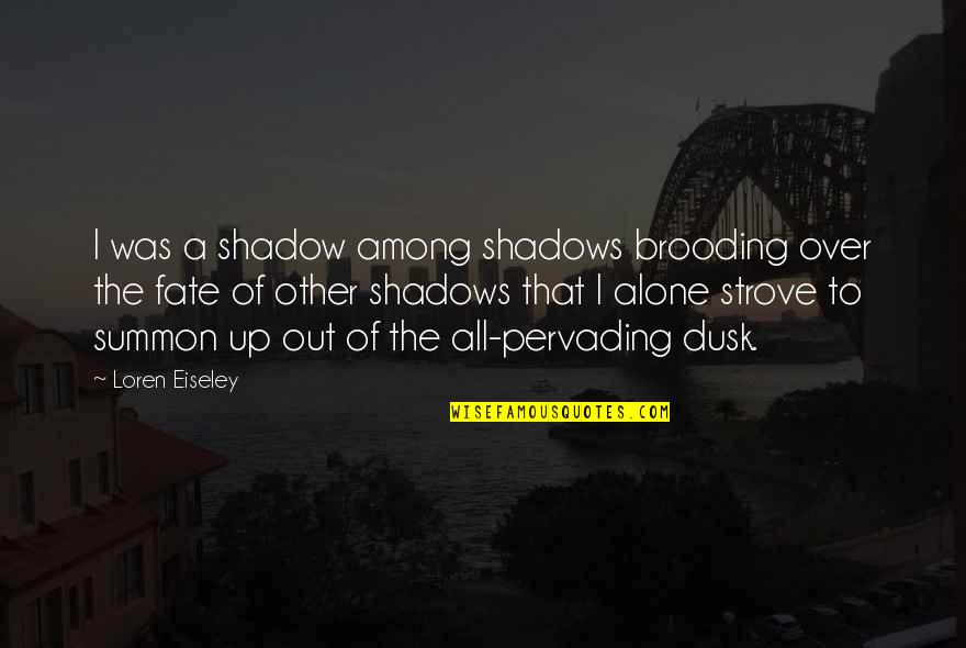 A Girl And Her Guitar Quotes By Loren Eiseley: I was a shadow among shadows brooding over
