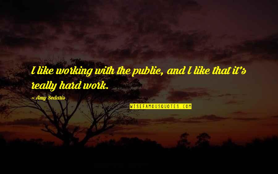 A Girl Not Talking To You Quotes By Amy Sedaris: I like working with the public, and I