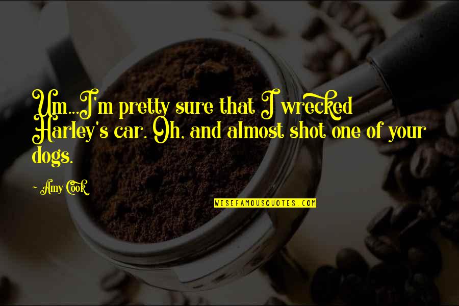 A Girl Once Told Me Quotes By Amy Cook: Um...I'm pretty sure that I wrecked Harley's car.