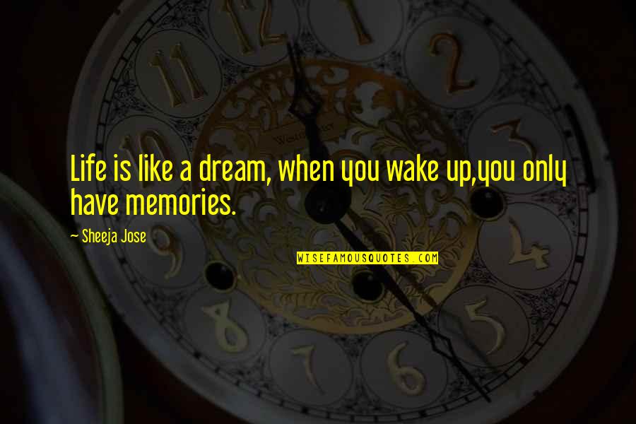 A Girl's Dream Quotes By Sheeja Jose: Life is like a dream, when you wake