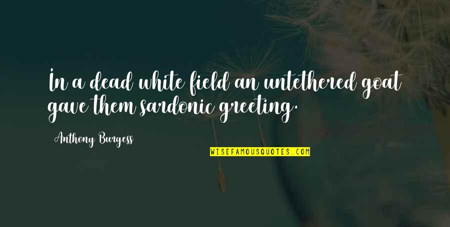 A Goat Quotes By Anthony Burgess: In a dead white field an untethered goat A Goat Quotes By Anthony Burgess: In a dead white field an untethered goat