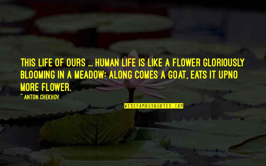 A Goat Quotes By Anton Chekhov: This life of ours ... human life is A Goat Quotes By Anton Chekhov: This life of ours ... human life is