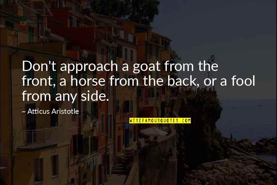 A Goat Quotes By Atticus Aristotle: Don't approach a goat from the front, a A Goat Quotes By Atticus Aristotle: Don't approach a goat from the front, a