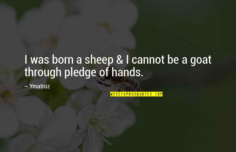 A Goat Quotes By Ymatruz: I was born a sheep & I cannot