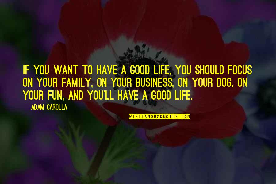 A Good Business Quotes By Adam Carolla: If you want to have a good life,
