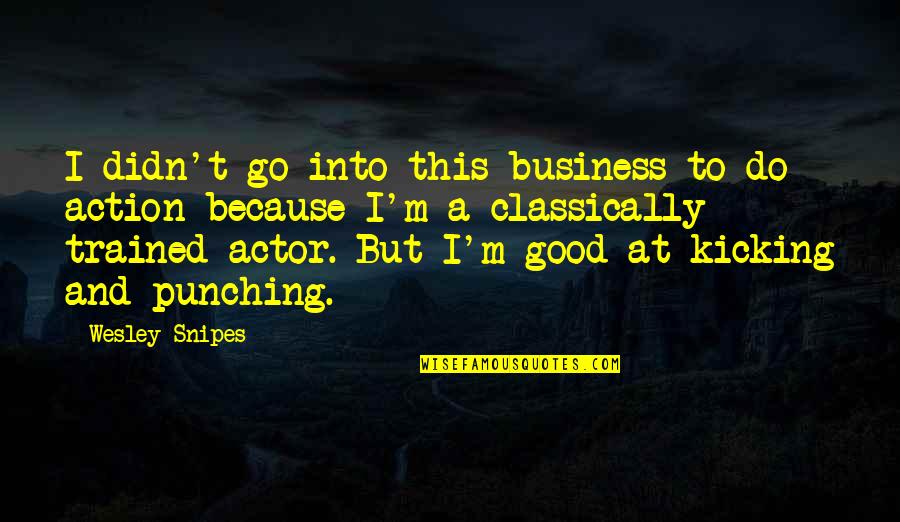 A Good Business Quotes By Wesley Snipes: I didn't go into this business to do