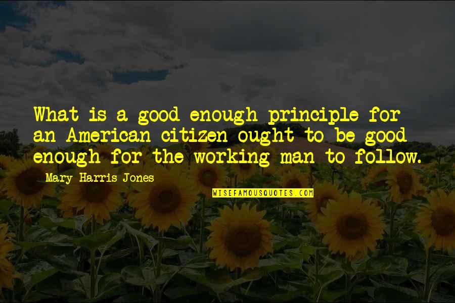 A Good Citizen Quotes By Mary Harris Jones: What is a good enough principle for an