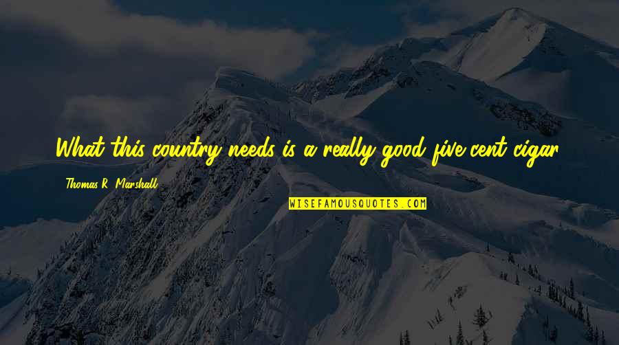 A Good Country Quotes By Thomas R. Marshall: What this country needs is a really good