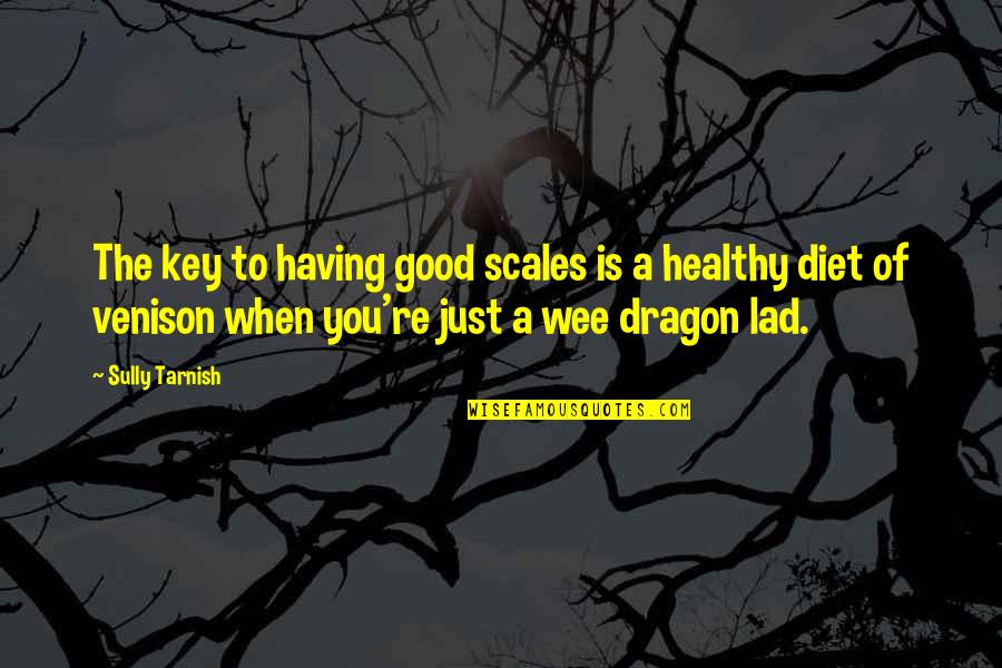 A Good Diet Quotes By Sully Tarnish: The key to having good scales is a A Good Diet Quotes By Sully Tarnish: The key to having good scales is a