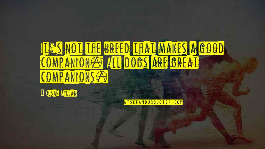 A Good Dog Quotes By Cesar Millan: It's not the breed that makes a good