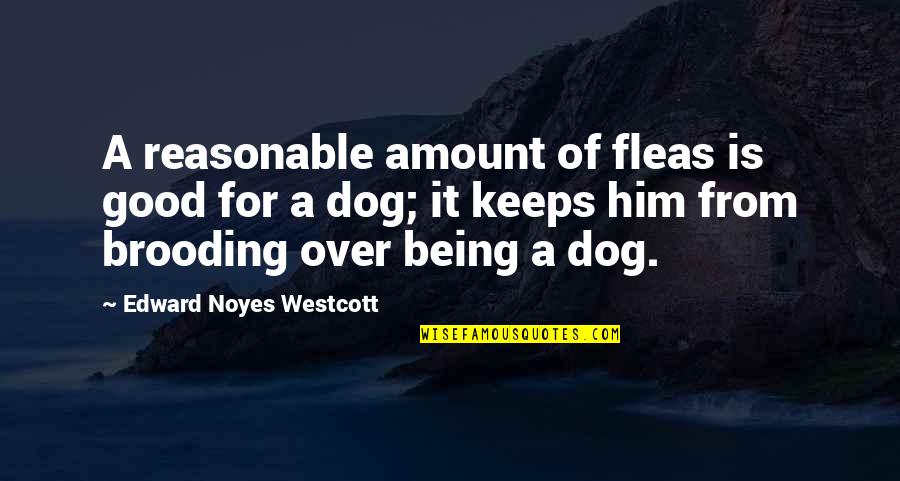 A Good Dog Quotes By Edward Noyes Westcott: A reasonable amount of fleas is good for A Good Dog Quotes By Edward Noyes Westcott: A reasonable amount of fleas is good for