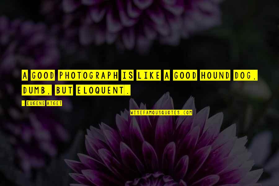 A Good Dog Quotes By Eugene Atget: A good photograph is like a good hound