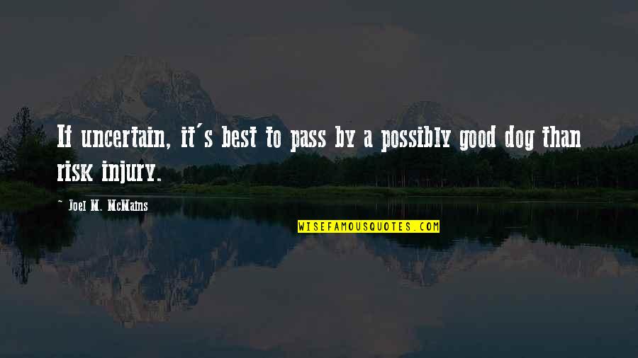 A Good Dog Quotes By Joel M. McMains: If uncertain, it's best to pass by a A Good Dog Quotes By Joel M. McMains: If uncertain, it's best to pass by a