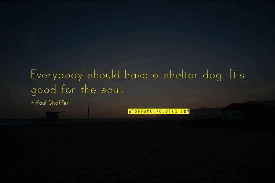 A Good Dog Quotes By Paul Shaffer: Everybody should have a shelter dog. It's good A Good Dog Quotes By Paul Shaffer: Everybody should have a shelter dog. It's good