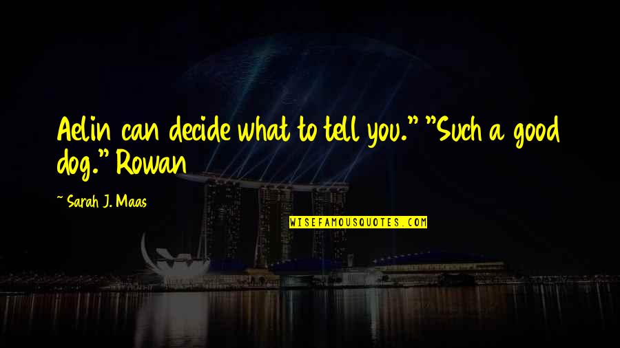 A Good Dog Quotes By Sarah J. Maas: Aelin can decide what to tell you." "Such A Good Dog Quotes By Sarah J. Maas: Aelin can decide what to tell you." "Such