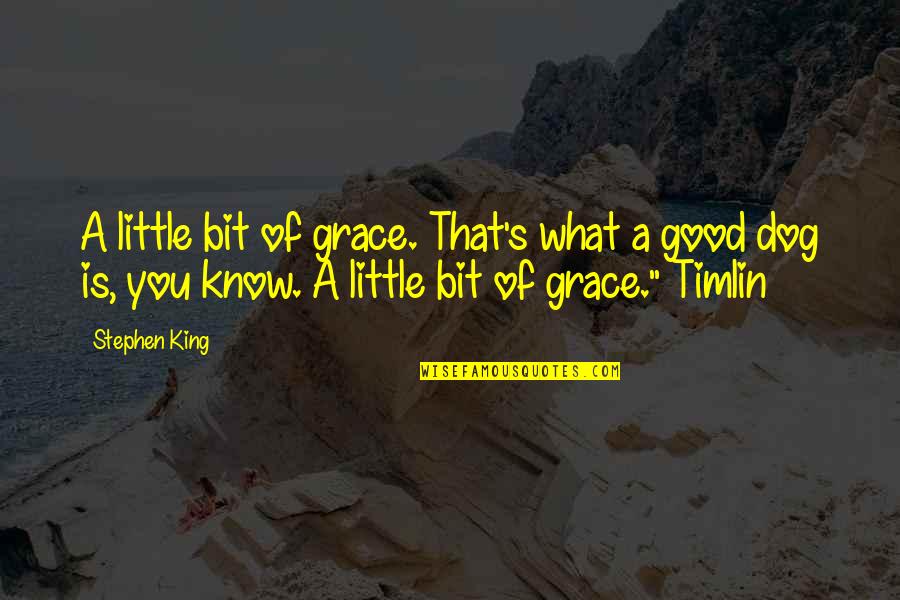 A Good Dog Quotes By Stephen King: A little bit of grace. That's what a A Good Dog Quotes By Stephen King: A little bit of grace. That's what a