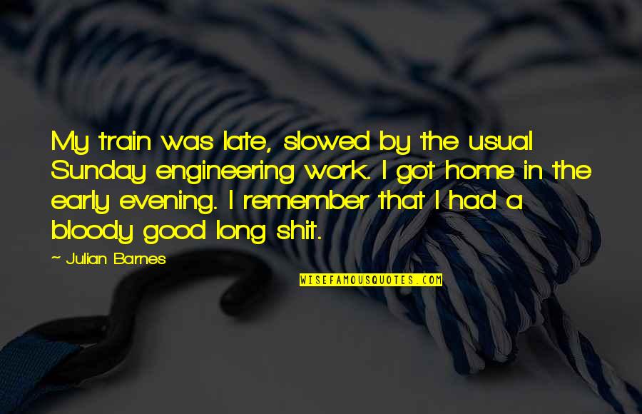 A Good Evening Quotes By Julian Barnes: My train was late, slowed by the usual