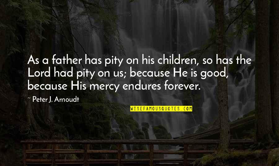 A Good Father Is Quotes By Peter J. Arnoudt: As a father has pity on his children,