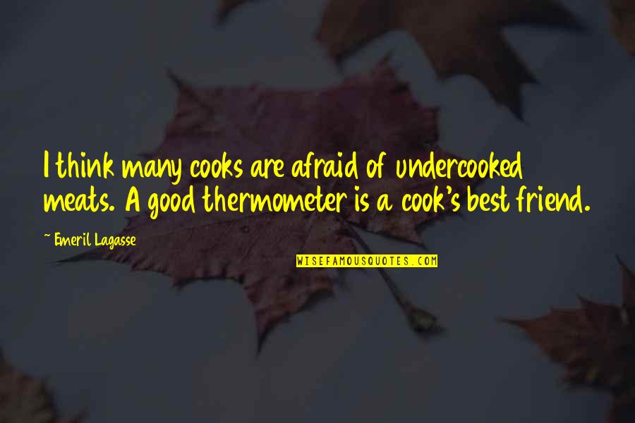 A Good Friend Is Quotes By Emeril Lagasse: I think many cooks are afraid of undercooked