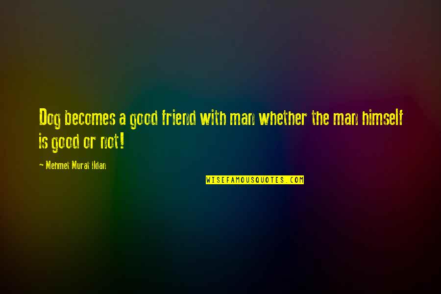 A Good Friend Is Quotes By Mehmet Murat Ildan: Dog becomes a good friend with man whether